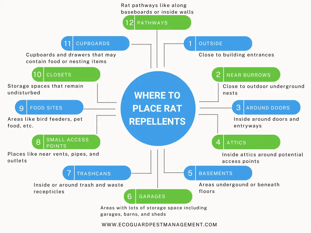 How to Repel Rats: A Comprehensive Guide