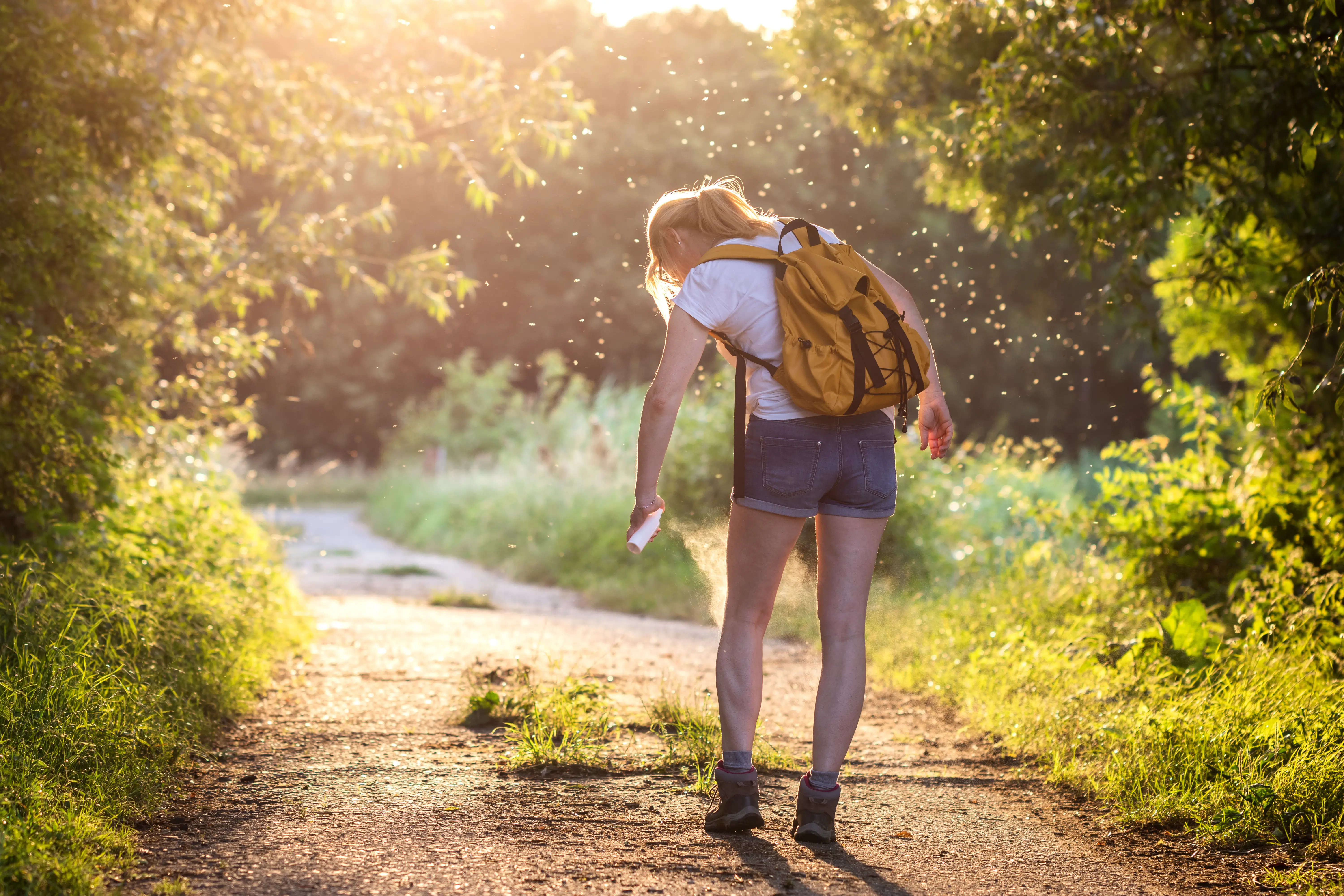 When Do Mosquitoes Come Out? Season, Time of Day & Activity