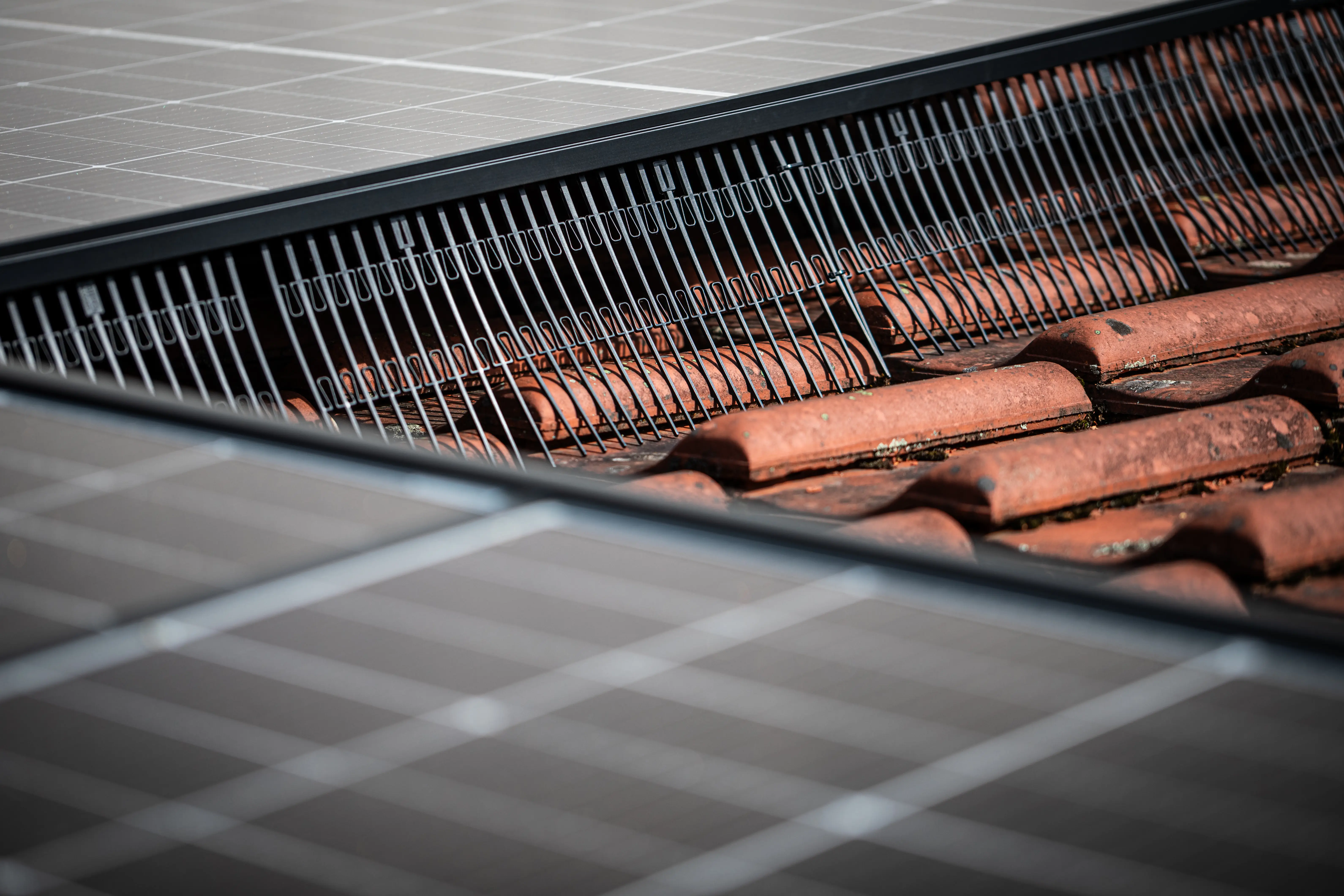 Solar panel bird guard mesh preventing pigeon nesting